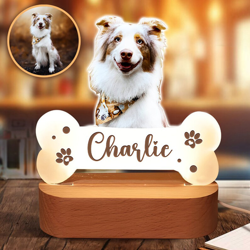 Acrylic Pet Growth Memory Nigh - Lighting Decor Photos 评论和价格