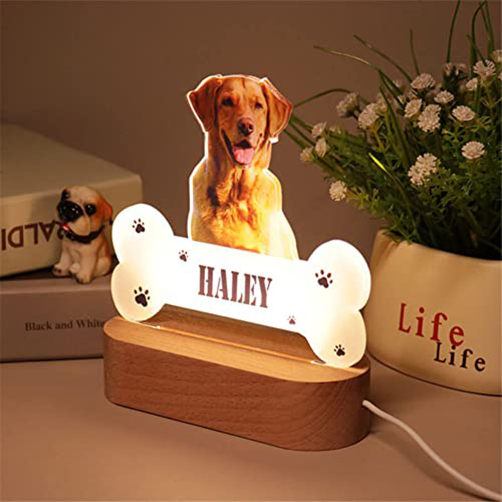 Acrylic Pet Growth Memory Nigh - Lighting Decor Photos 评论和价格