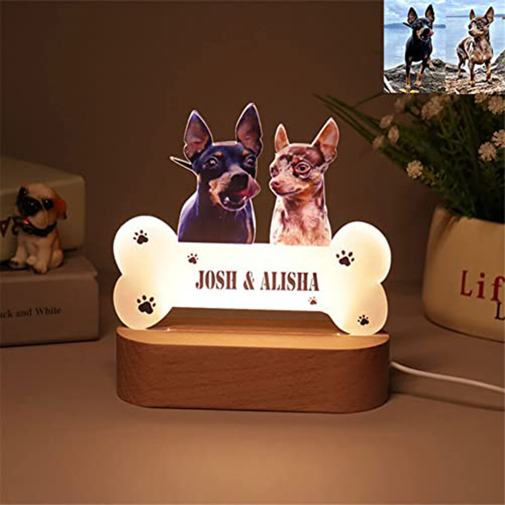 Acrylic Pet Growth Memory Nigh - Lighting Decor Photos 评论和价格