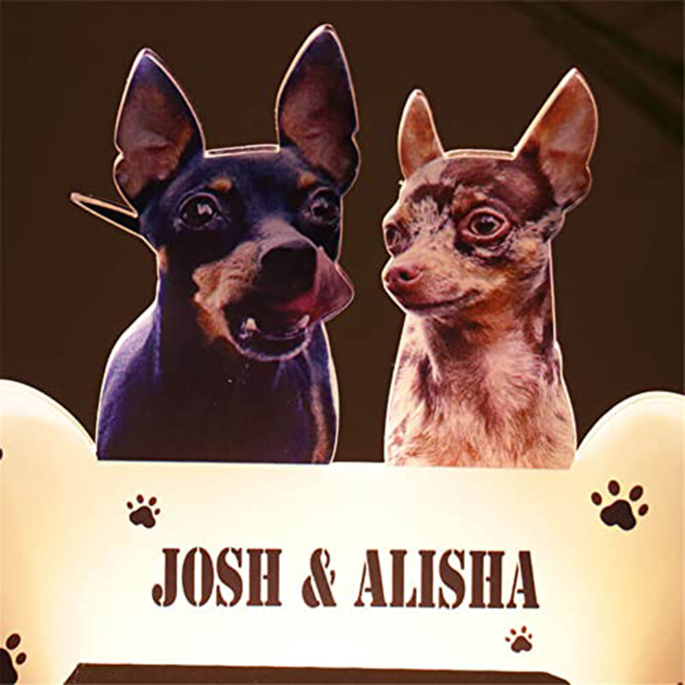 Acrylic Pet Growth Memory Nigh - Lighting Decor Photos 评论和价格